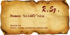 Remes Szidónia névjegykártya